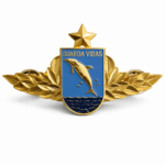 Brevê Guarda Vidas - Dourado