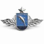 Brevê Guarda Vidas - Prata