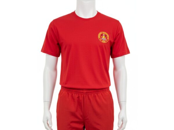Camiseta Bombeiro Profissional Civil - Padrão - Em Silk