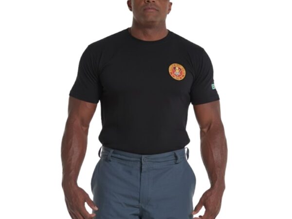Camiseta Bombeiro Profissional Civil - Preta - Bordada